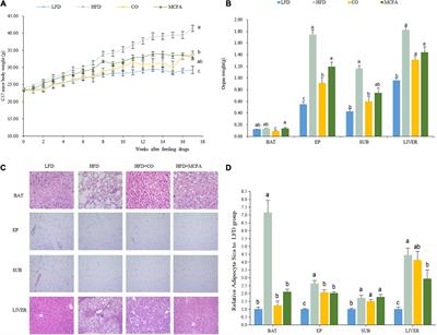 Coconut oil and medium-chain fatty acids attenuate high-fat diet-induced obesity in mice through increased thermogenesis by activating brown adipose tissue